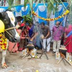 pongal2